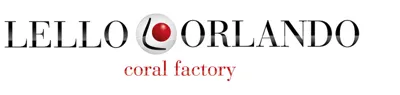 Lello Orlando Srl logo