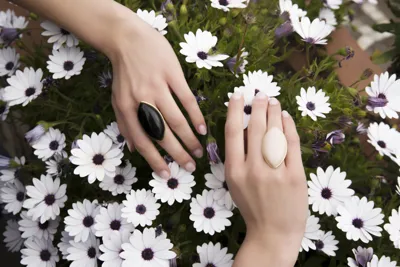 Hands among white daisies wearing two gold cocktail rings with a black stone and a pale pink stone