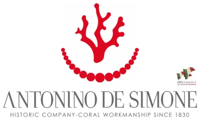 Antonino De Simone Srl logo