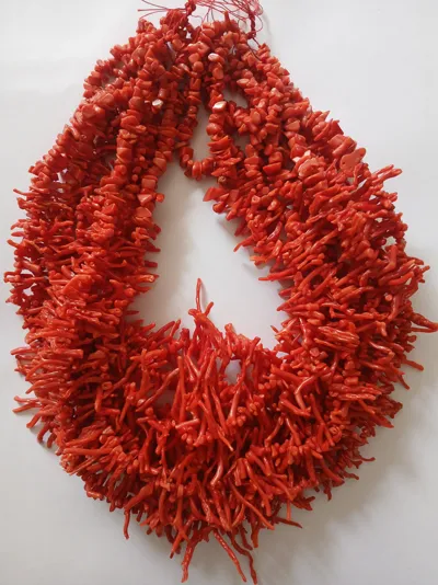 Multi-strand necklace of long red coral branches