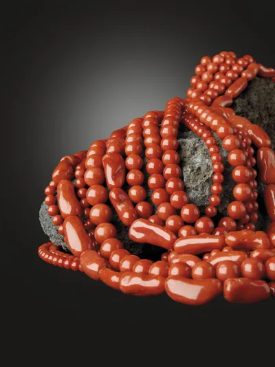 Coral strands on a natural rock base