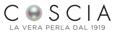 Coscia Srl logo