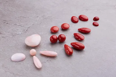 Polished red and pink coral cabochons and drops in various shapes