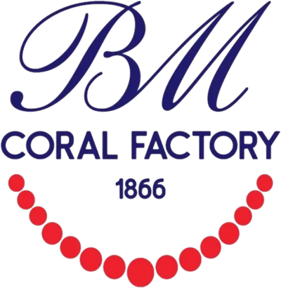 Bruno Mazza Srl logo